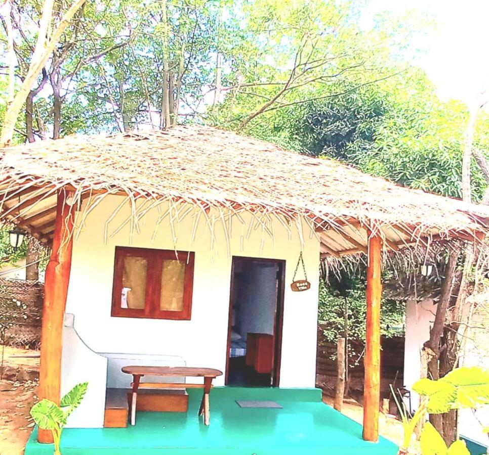 Priya Homestay Kandalama Dambulla Buitenkant foto