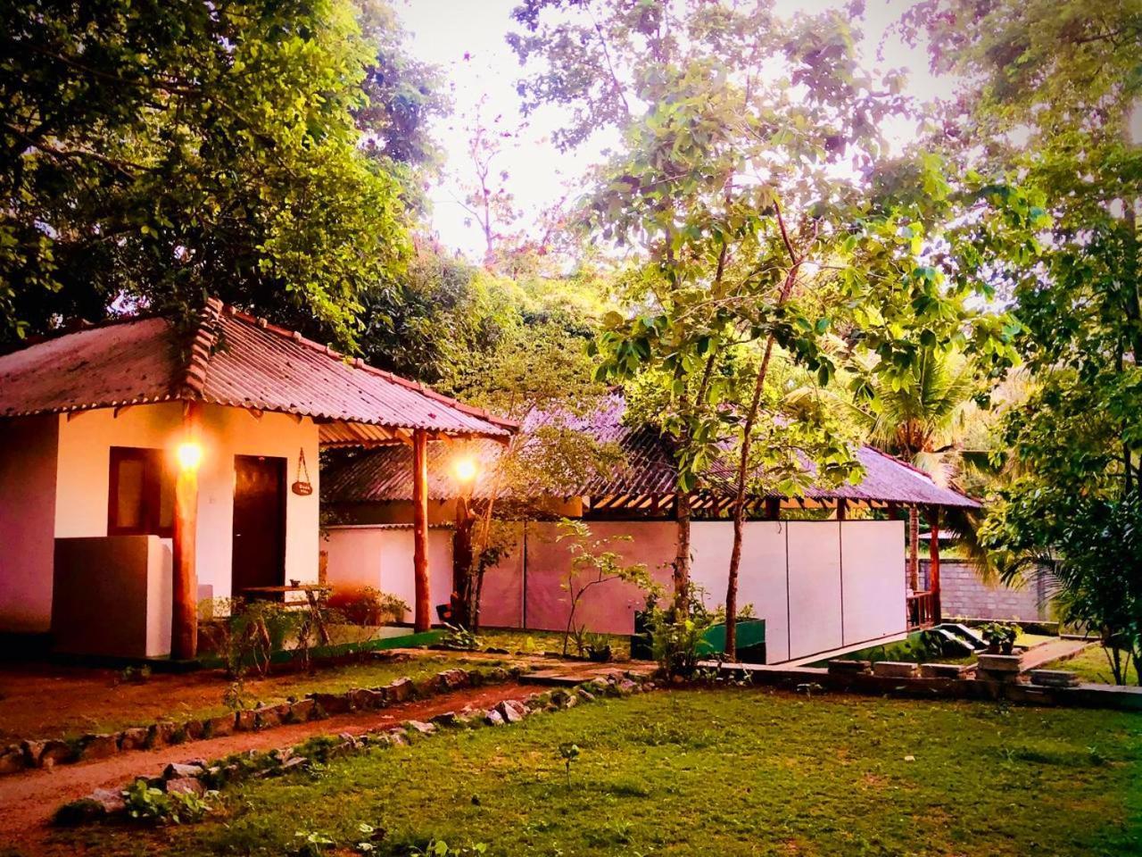 Priya Homestay Kandalama Dambulla Buitenkant foto