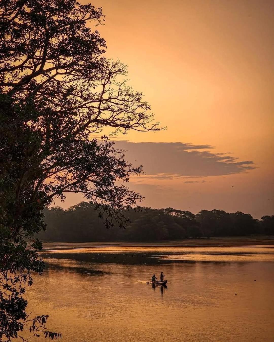 Priya Homestay Kandalama Dambulla Buitenkant foto